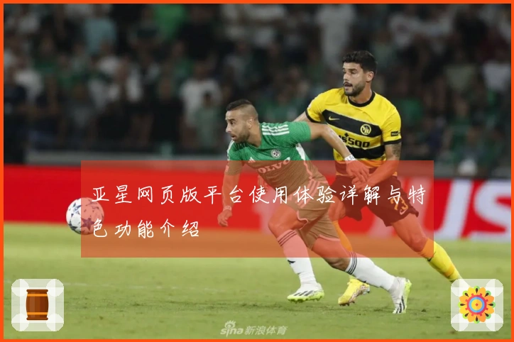 亚星网页版平台使用体验详解与特色功能介绍