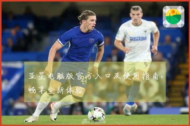 亚星电脑版官方入口及使用指南，畅享全新体验