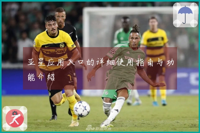 亚星应用入口的详细使用指南与功能介绍