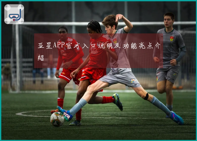 亚星APP官方入口说明及功能亮点介绍