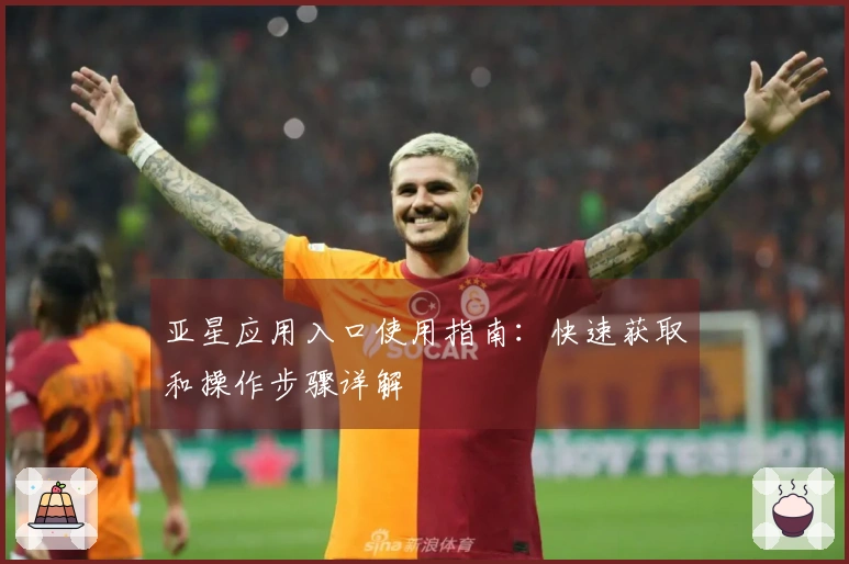 亚星应用入口使用指南：快速获取和操作步骤详解